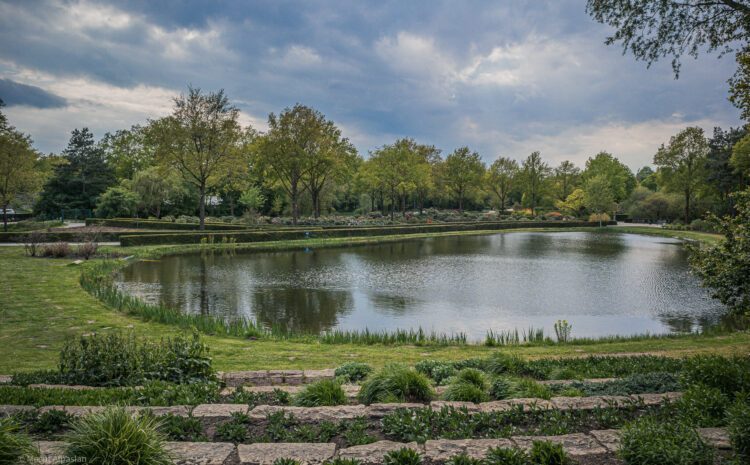 Rhododendron-Park